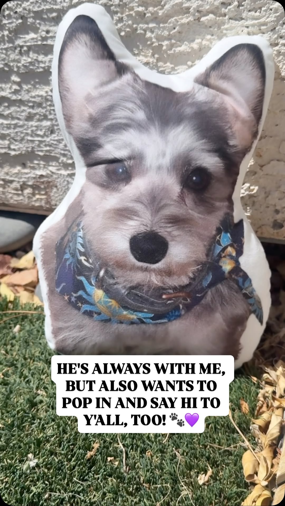 Instagram post by @miss_tiffyt for All About Vibe. Caption reads: [...] he was 😍. If you want a super cute....