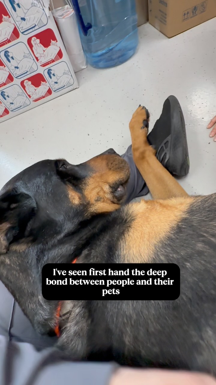 Instagram post by an influencer for Purina. Caption reads: [...] why I’m partnering with @purina to help....