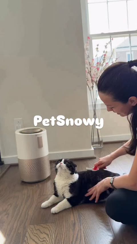 Instagram post by @merhabaamericaa for PetSnowy. Caption reads: [...] doesn’t mean living with pet smells🐾....