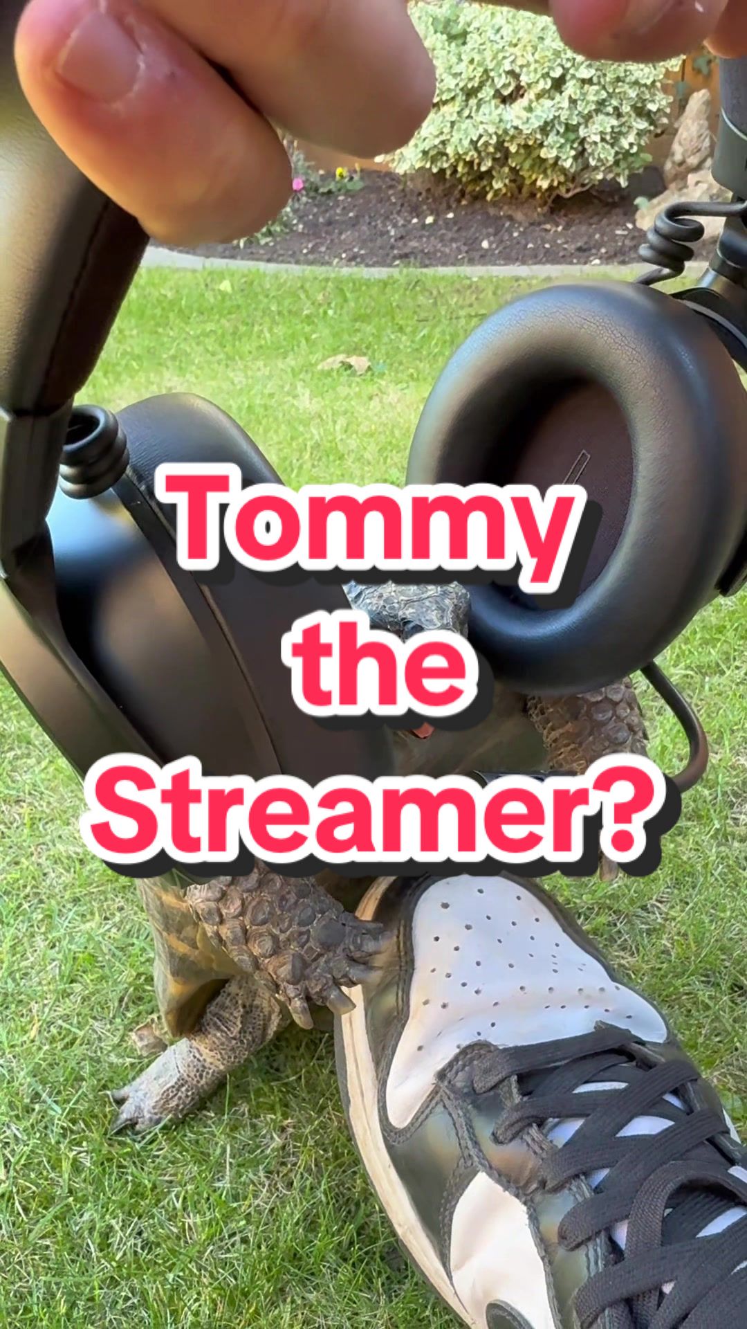 TikTok post by @phatonions for Razer. Caption reads: Tommy the Streamer? Featuring the @Razer Kraken V4....