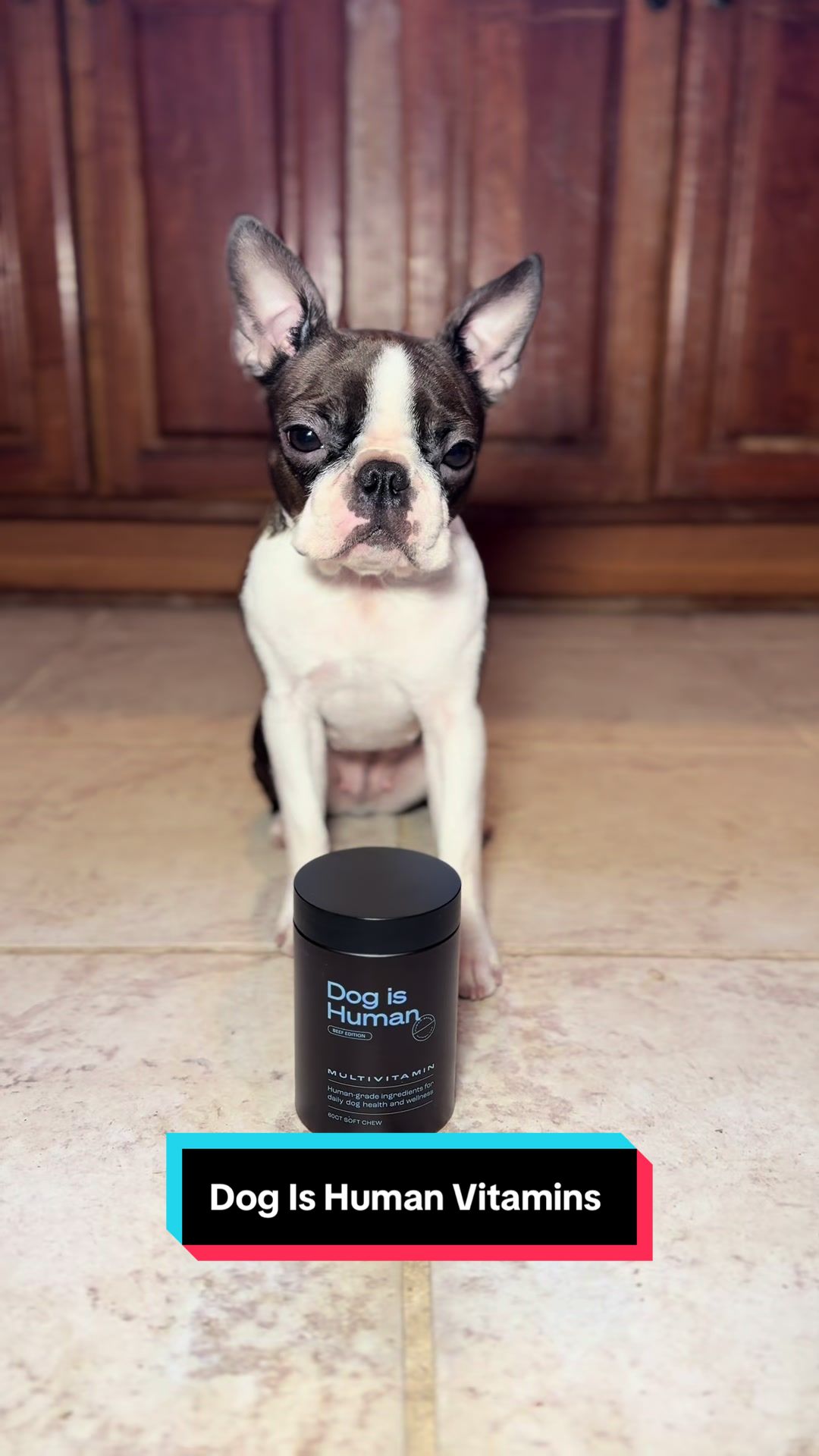 TikTok post by @jessperbostons for Dog is Human. Caption reads: @Dog is Human multi vitamins are made with human....