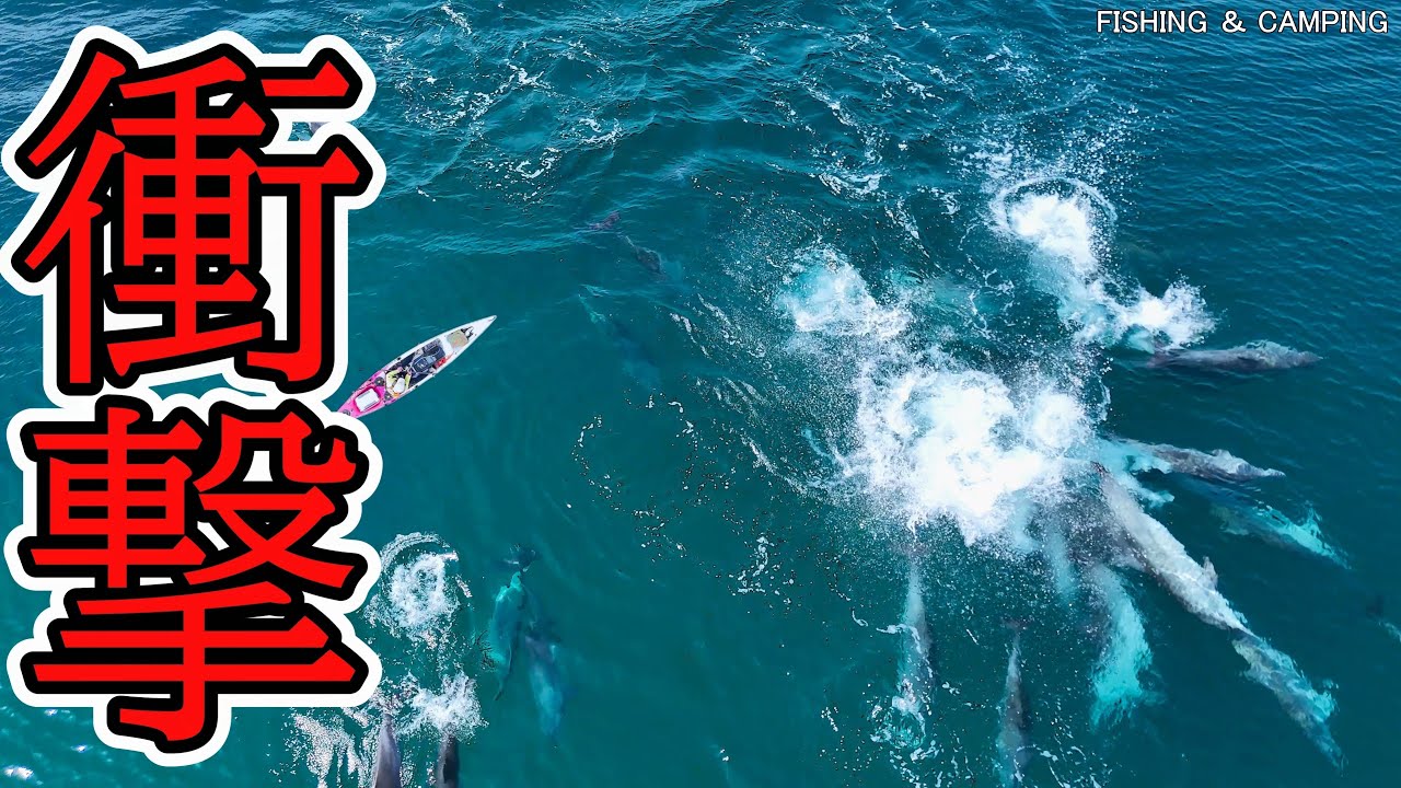 YouTube post by @Nobiko_sotoasobi for BeaverCraft Tools. Caption reads: Shocking!! A woman fishing in a small boat is....