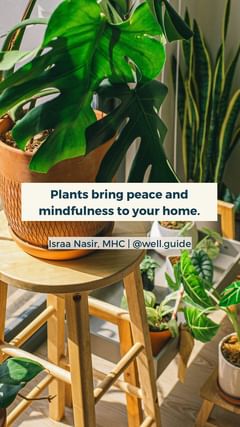 Instagram post by @well.guide for Costa Farms. Caption reads: Life is better with a little green. 

Studies have....