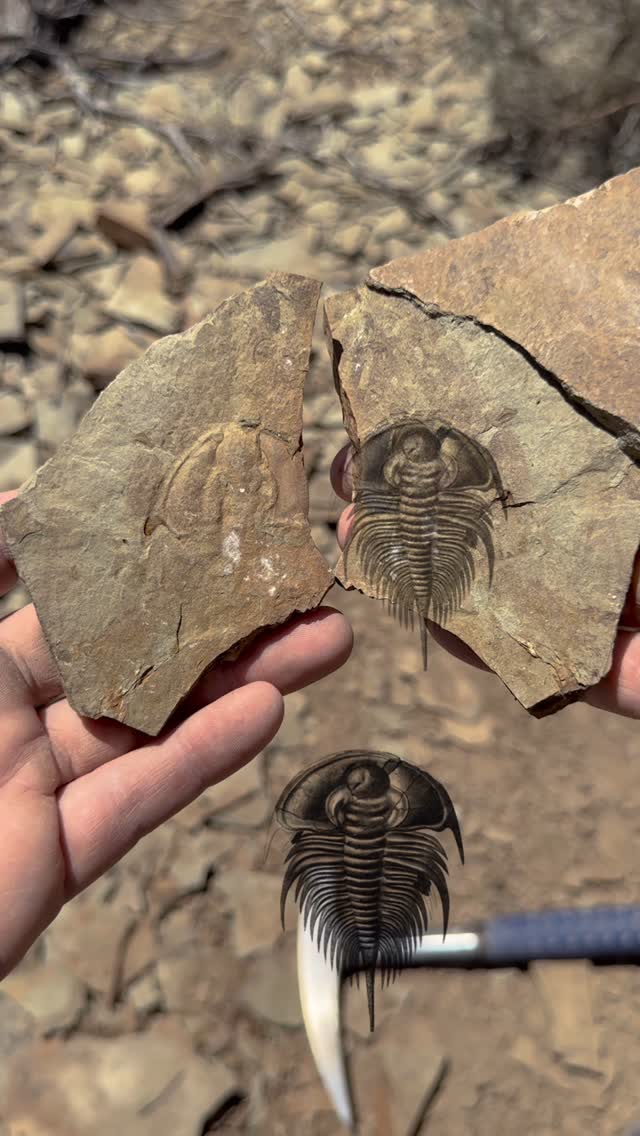 Instagram post by @duranosaur for Travel Nevada. Caption reads: @travelnevada and discover 500 million year old....