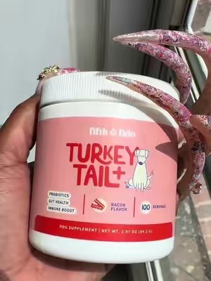 TikTok post by @teaare1 for Fifth & Fido. Caption reads: [...] immune boosting gut health supplement@Fifth....