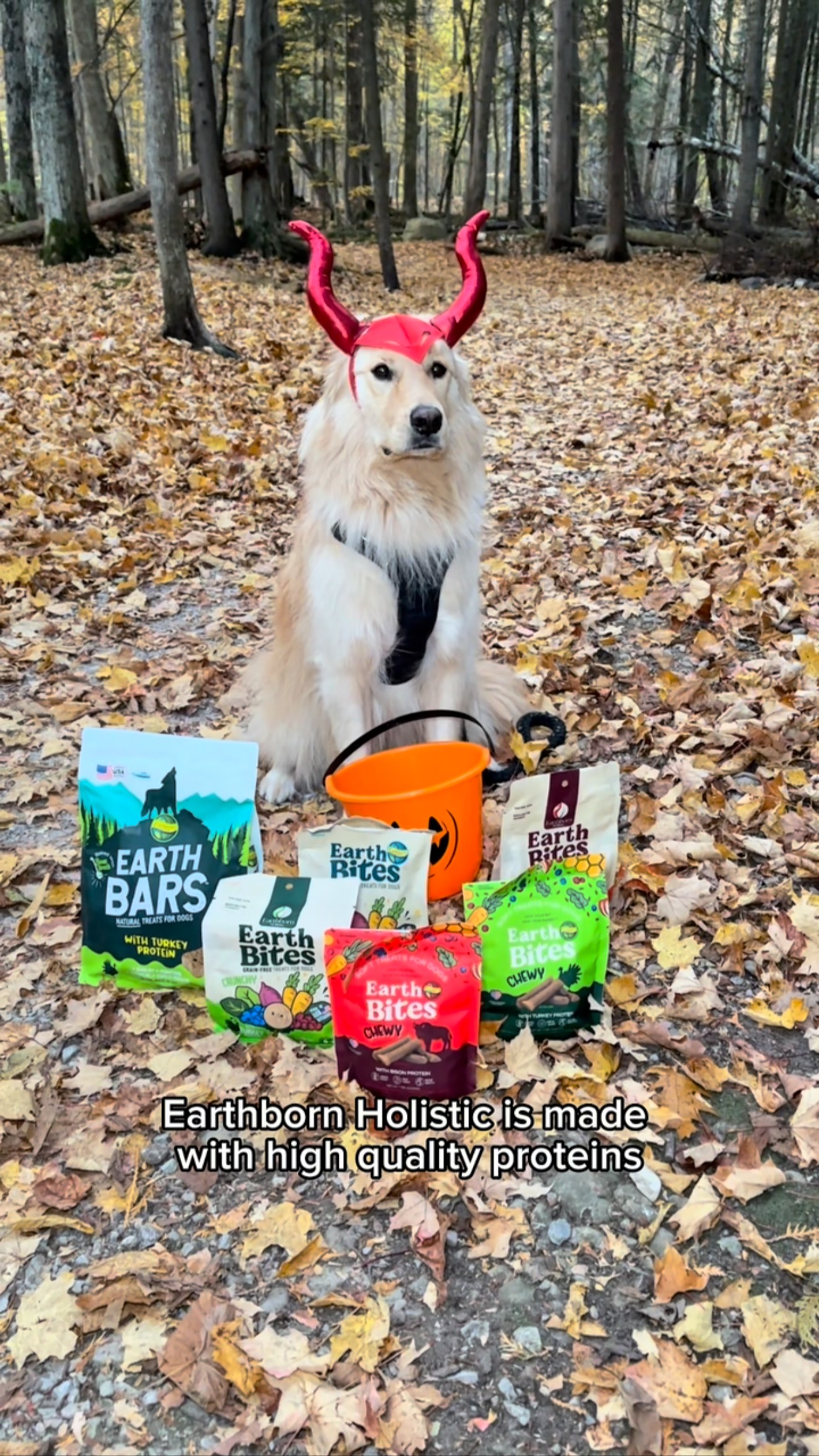 Instagram post by @charlies.castle for Earthborn Holistic Pet Food. Caption reads: No tricks, just treats 👻🐾 Simba’s powered by....