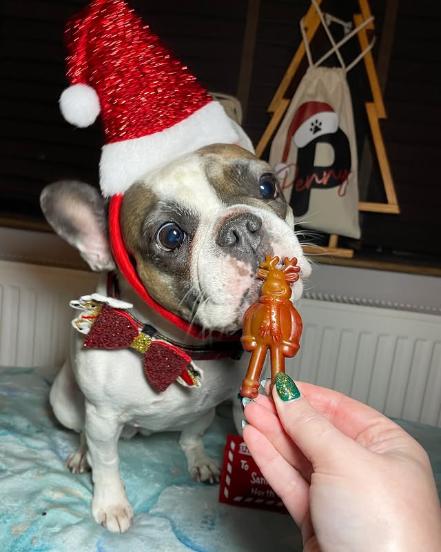 Instagram post by @prettypennyandindy for Fur the Love of Toys. Caption reads: Happy festive FLOT FriYAY 🥳 we’re working extra....
