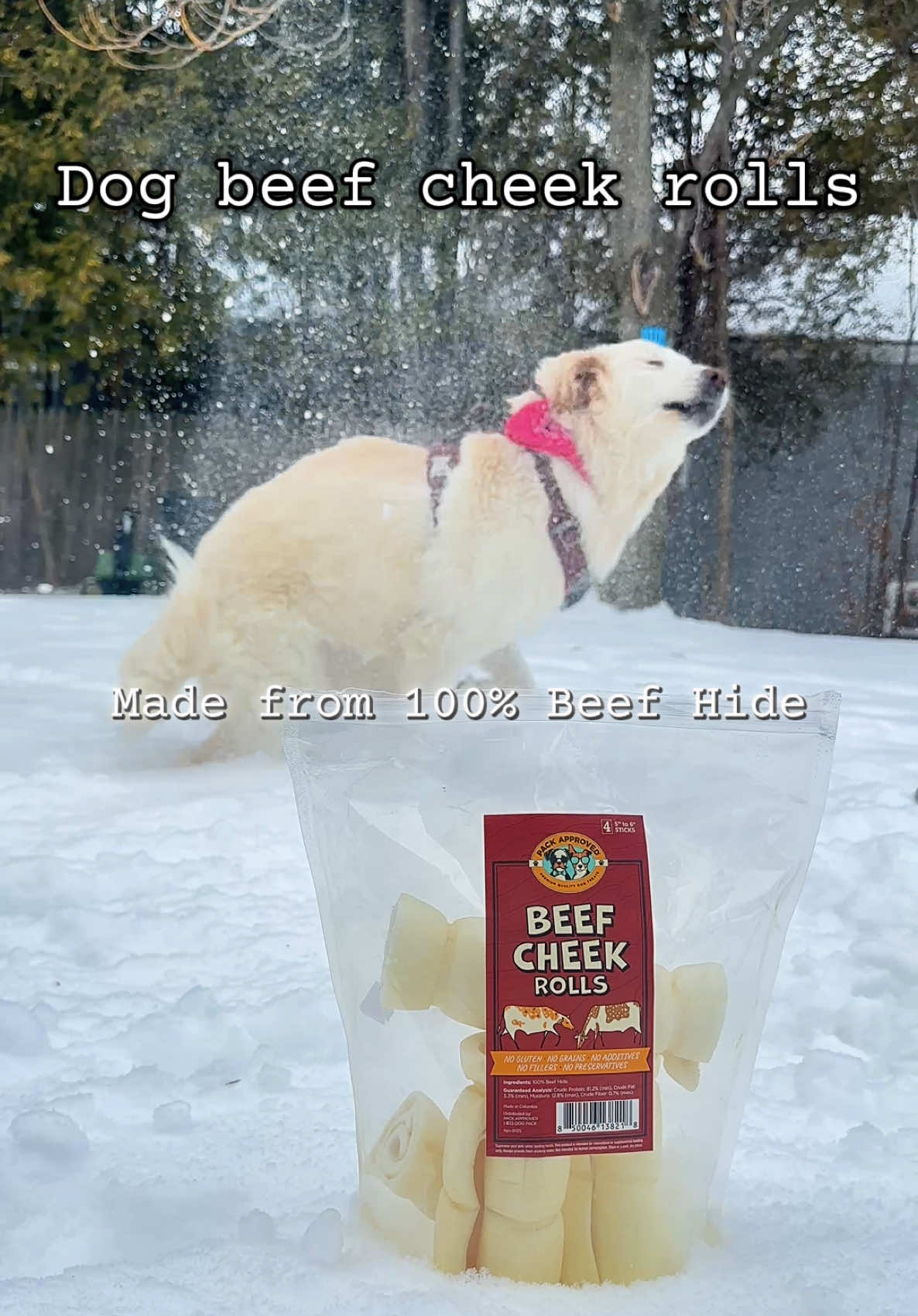 TikTok post by @chroniclesofbearandbou for PetMD Store. Caption reads: [...] dog loves to chew, you need to try....