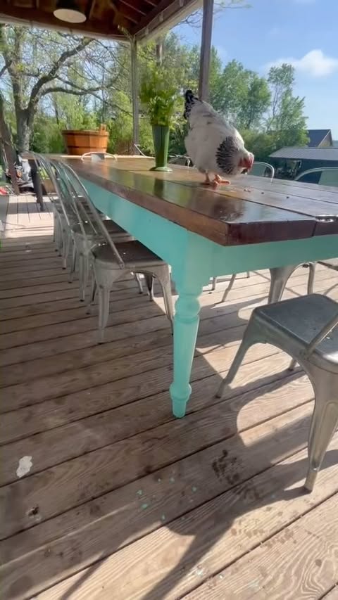 Instagram post by @jimmydiresta for TotalBoat. Caption reads: Summer prep with @totalboat !! The table where....