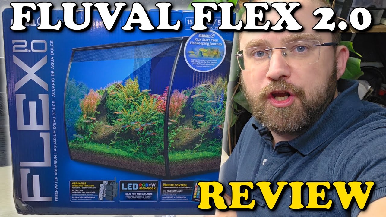 YouTube post by @EverydayAquarist for Hygger Aquarium. Caption reads: This Curved Fish Tank Just Got Better! | Fluval....
