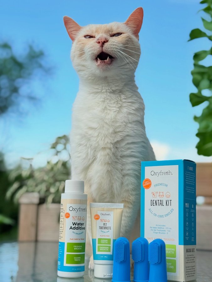 Instagram post by @cleo.heihei.diary for Oxyfresh. Caption reads: ✨ Diary Entry: Cleo’s Kissably Clean Secret! ✨

Hi....