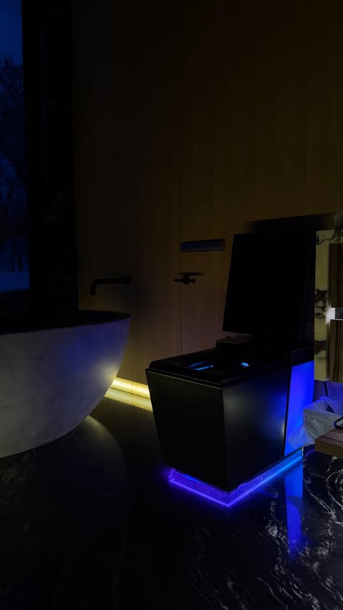 Instagram post by @ryandubs for KOHLER. Caption reads: The world’s MOST EXPENSIVE toilet 🚽🤑 Kohler Numi....