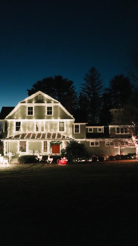 Instagram post by @byhilaryrose for The Home Depot. Caption reads: I don’t make the rules 🌲 It’s just how it goes!.