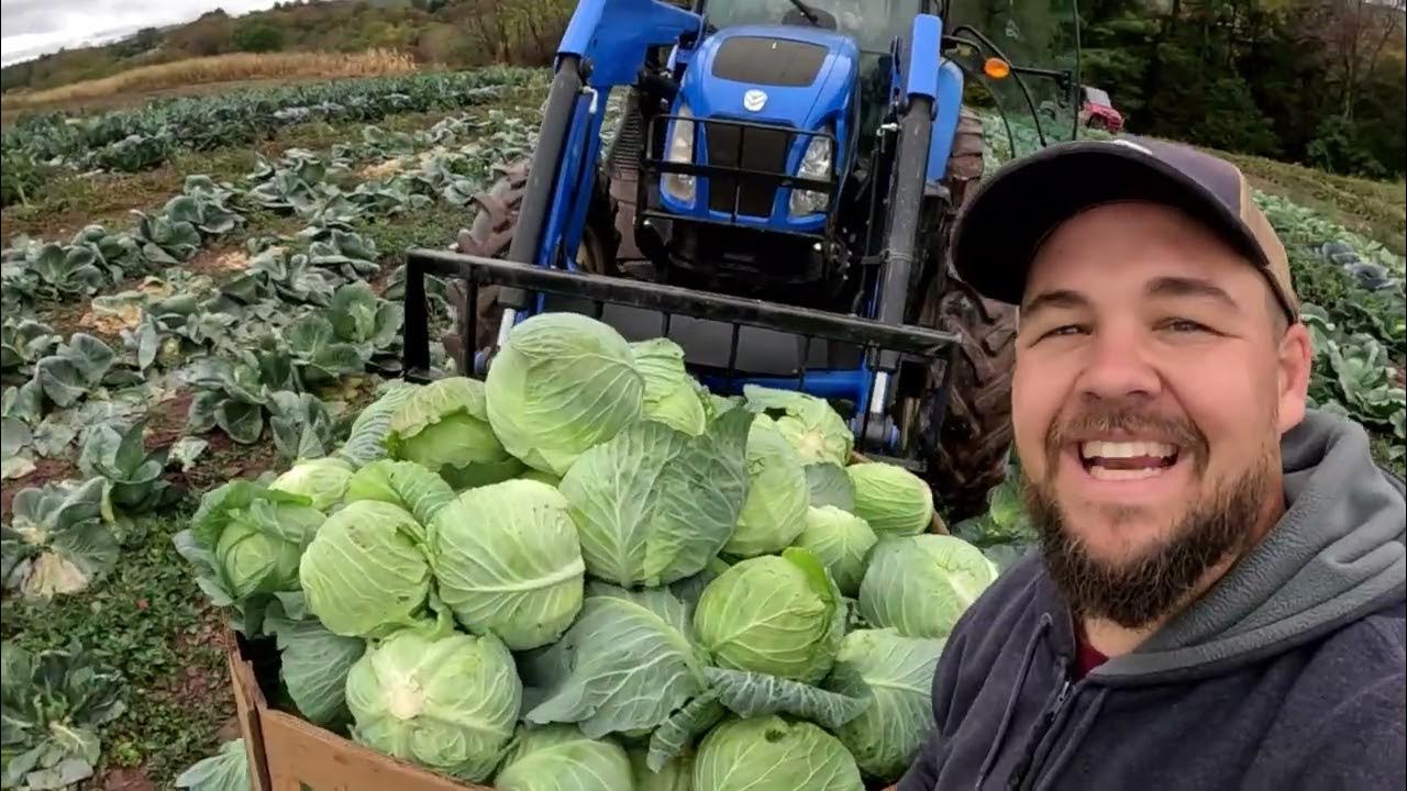 YouTube post by @theveggieboys for Reolink. Caption reads: Special guest for HUGE harvest.