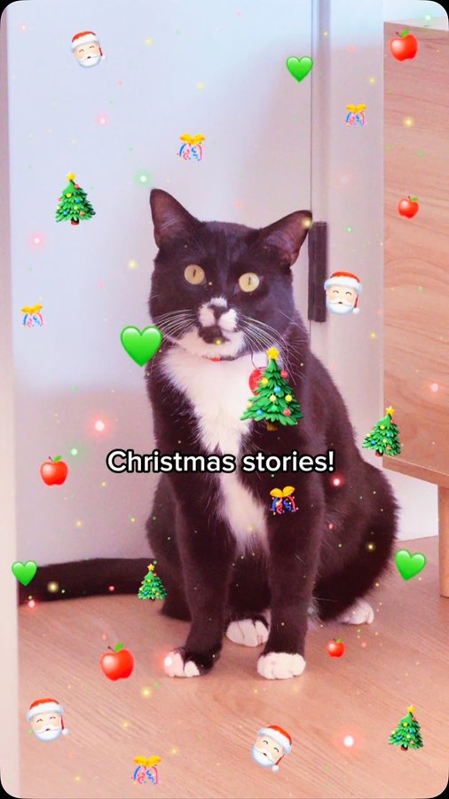 Instagram post by @scrimpusthecat for MICHUPET. Caption reads: [...] supurr fun Cat Treat Dispenser from....