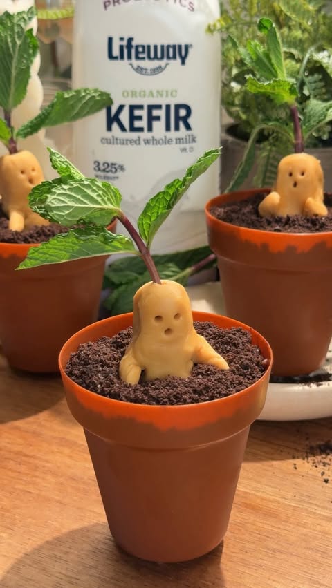 Instagram post by @maryc.129 for Lifeway Foods. Caption reads: Mandrake Chia Seed Pudding Cups #MadeWithLifeway....