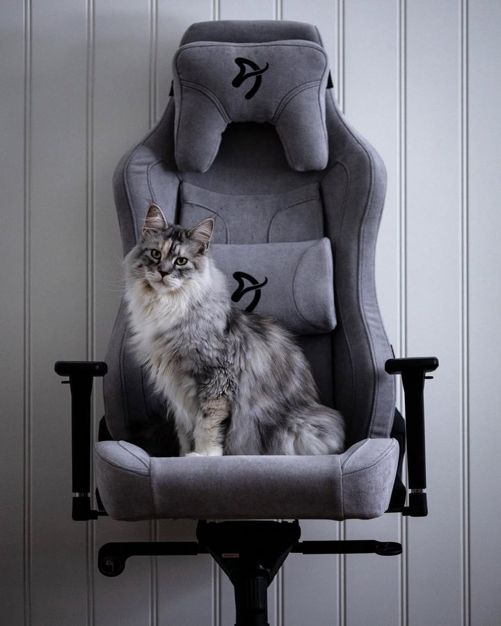 Instagram post by @mainecoonqueens for Arozzi. Caption reads: [...] new chair / scratcher! 😹❤️ . Thank you....