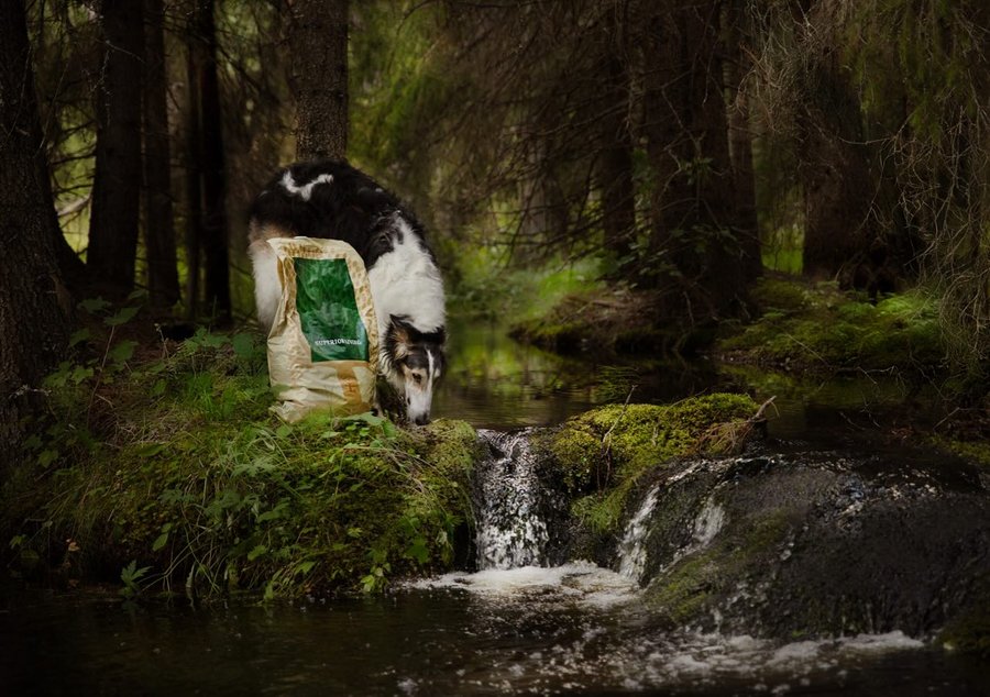 Instagram post by @zarwoe.oligarch for ESSENTIAL FOODS. Caption reads: We’re driving the last few miles to the place that....