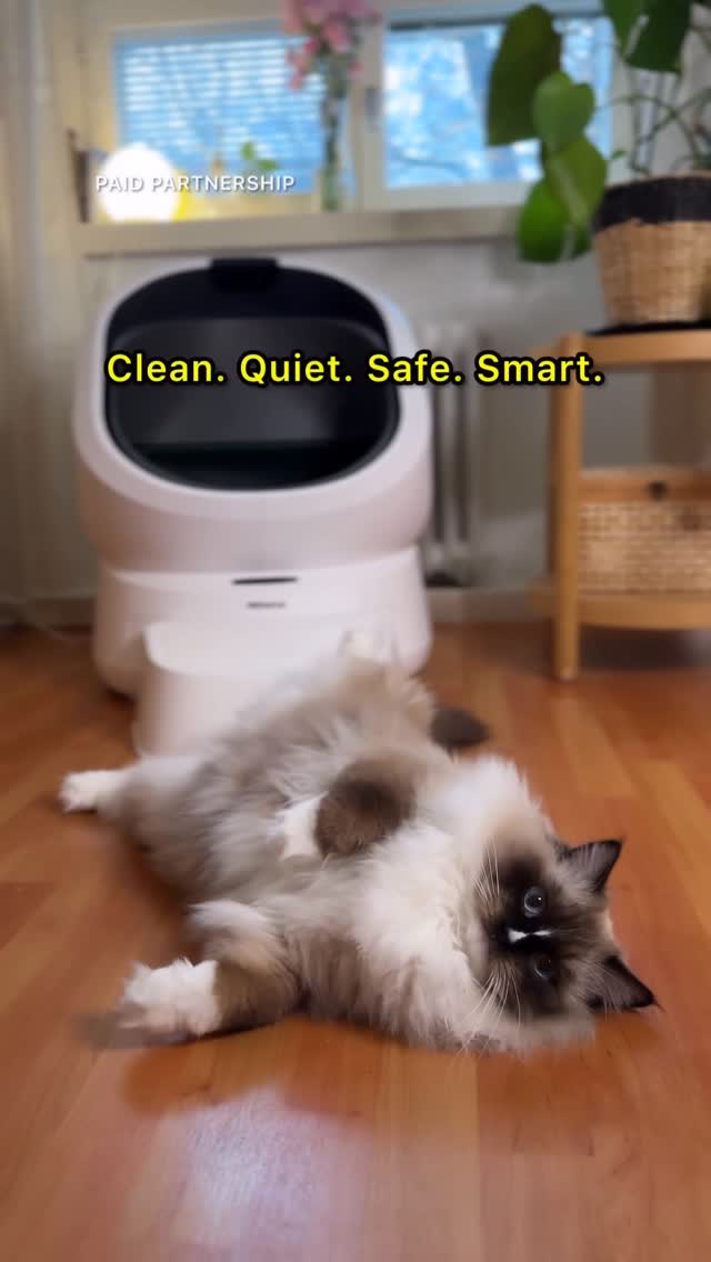 Instagram post by @mauriandcucumbers for Petlibro. Caption reads: #paidpartnership with @petlibro 

💚 PETLIBRO....