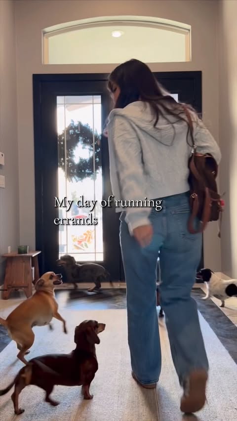 Instagram post by @yunabugs for PetSmart. Caption reads: Thanks to autoship at @petsmart I’m able to get....