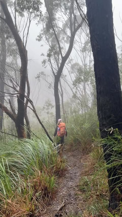 Instagram post by @nowastedweekendz for AllTrails. Caption reads: [...] hikes on offer around Sydney, but @alltrails....