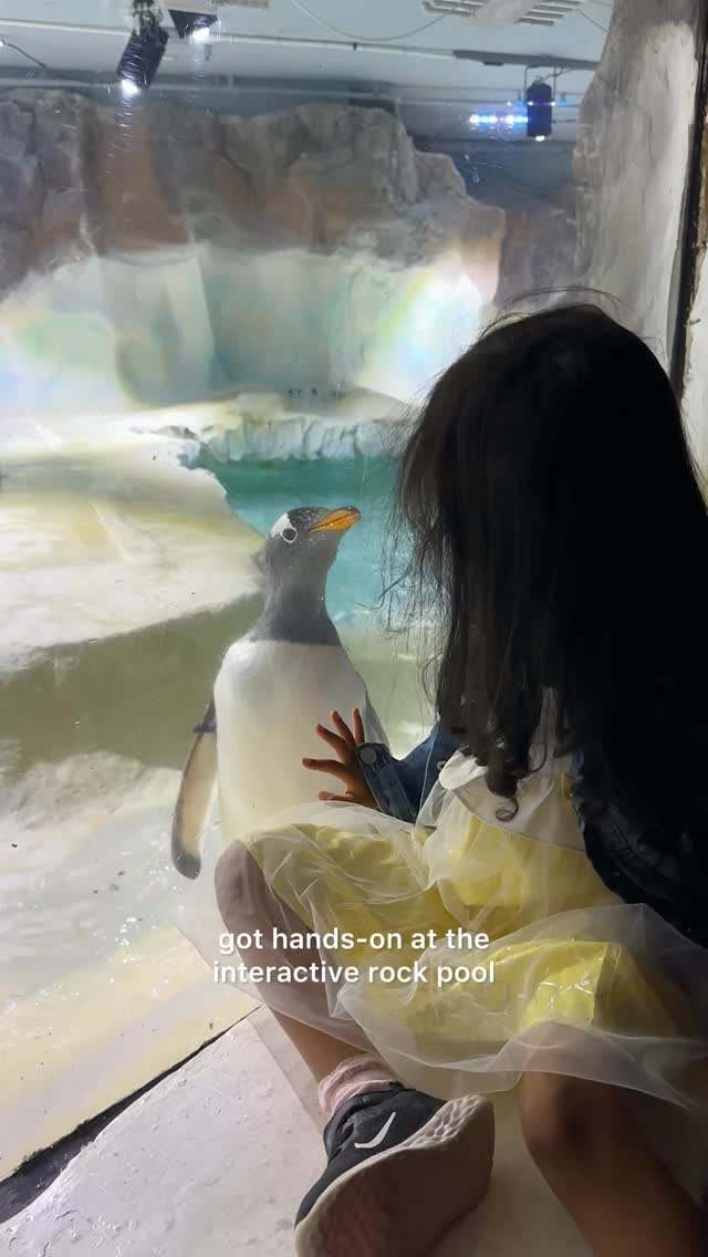 Instagram post by @farahmehnaz0 for Sea Life Centre. Caption reads: @sealifebirmingham was pure magic ✨ For anyone in....