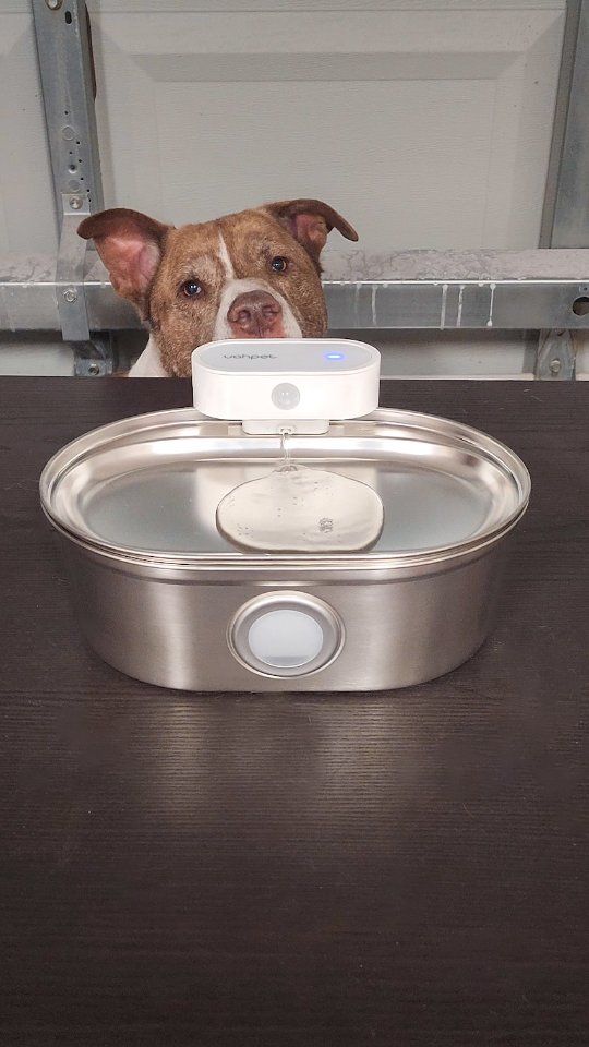 Instagram post by @rawpitadventures for Uahpet. Caption reads: [#gifted] We got to try out Uahpet's Wireless....