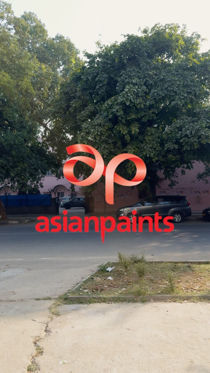 Instagram post by @thequickstyle for Asian Paints. Caption reads: Exploring the street art in Delhi and dancing to....