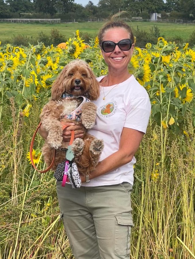 Instagram post by @doodling_with_mabel for Poochie Pals. Caption reads: Happy #tailventuretuesday 🌻🌻🌻 Throwing it back....