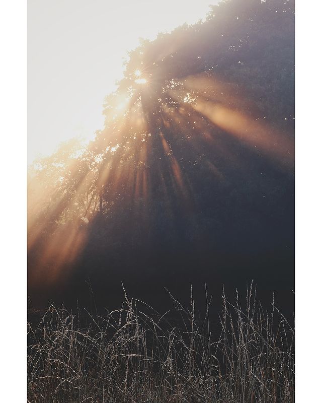 Instagram post by @sannalinn for Vsco. Caption reads: Summer slides @vsco WE3 pro preset edition I've....