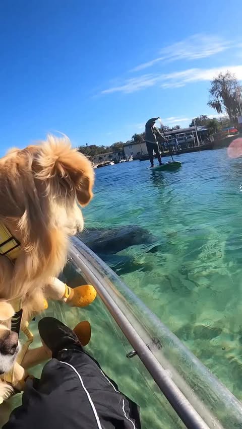 Instagram post by @it_is_a_pancake_life for Hertz. Caption reads: [...] make travel feel GOLDEN as a part of the....