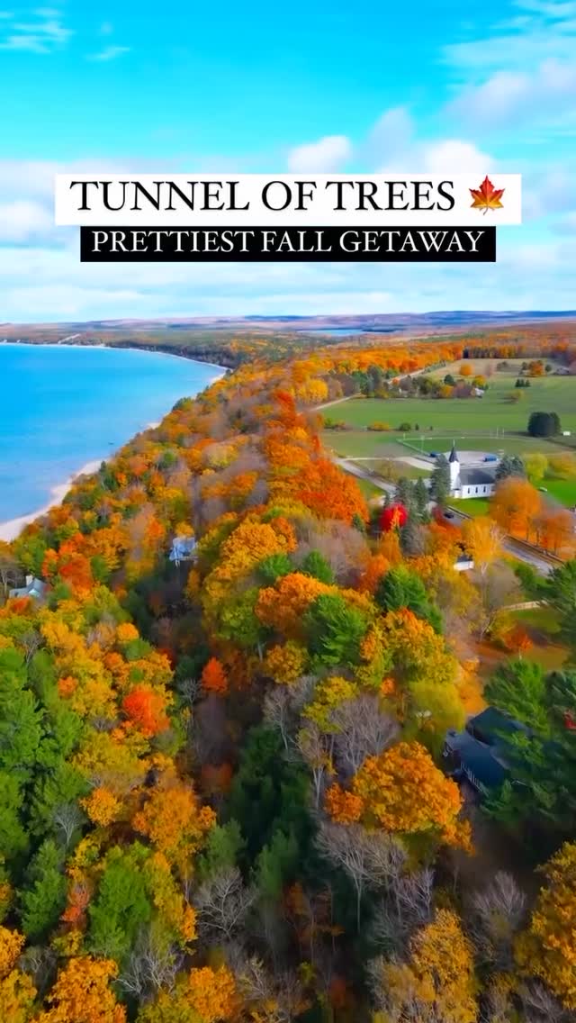 Instagram post by @nicolemsunderland for Pure Michigan. Caption reads: Save this!! 🍂🍁

📍 Tunnel of Trees, Michigan....