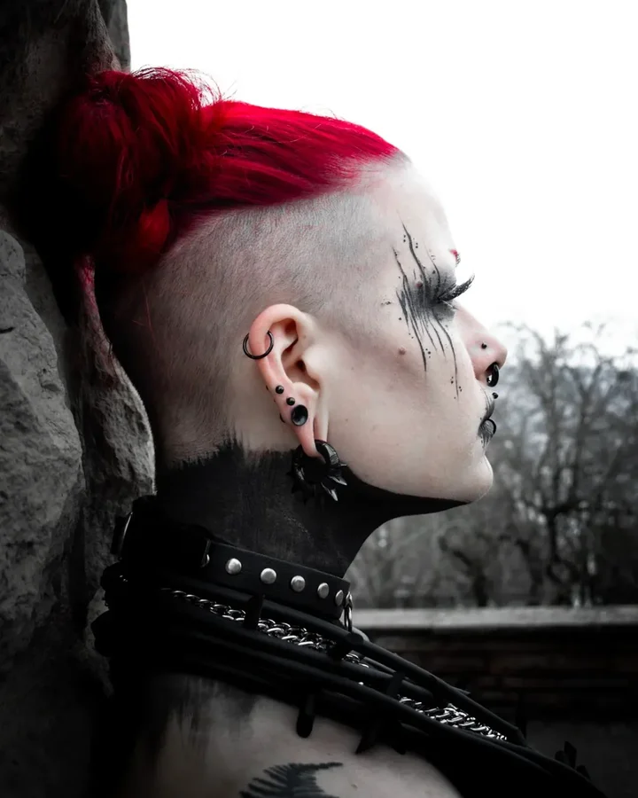 Instagram post by @unholy.puppet for Custom Plugs. Caption reads: [...] And beautiful ear weights from....