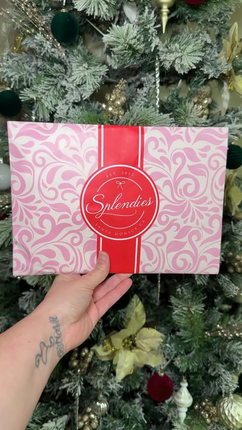 Instagram post by @jayqfields for Splendies. Caption reads: #gifted @splendies are the perfect holiday gift....