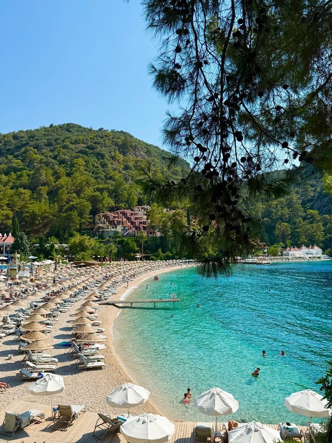 Instagram post by @derevclara for alexanderwang. Caption reads: almost forgot that this was the whole point🩷my....