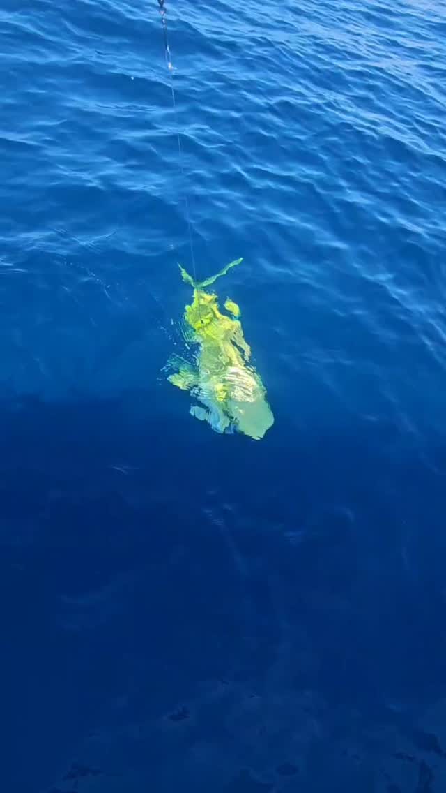 Instagram post by @panamafishing for Mustad Fishing. Caption reads: [...] @yeti @yozuri_lures @grundens @mustadfishing....