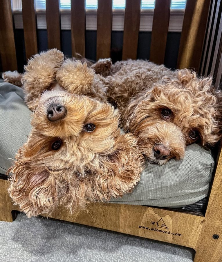 Instagram post by @with.love.kaden.and.adalynn for – Wlo Store. Caption reads: Mondays should be optional.

Featuring: @wlo_wood....