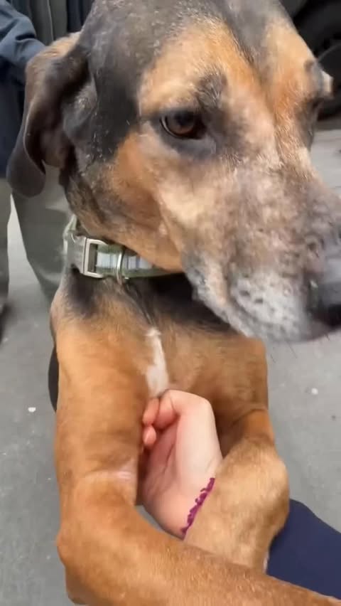 Instagram post by @closefriendjak for Earth Rated. Caption reads: A good boy who knows his limits. @earthrated....