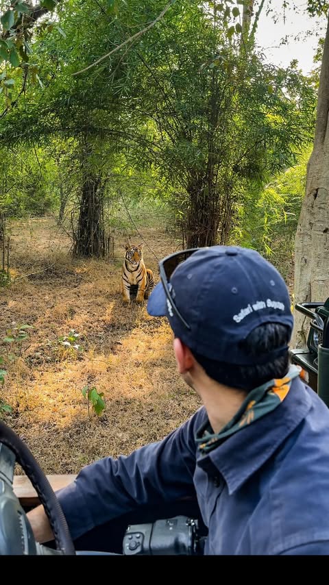 Instagram post by @suyashkeshari for Ray-Ban. Caption reads: A day in my#SafariLife with the Ray-Ban Meta....