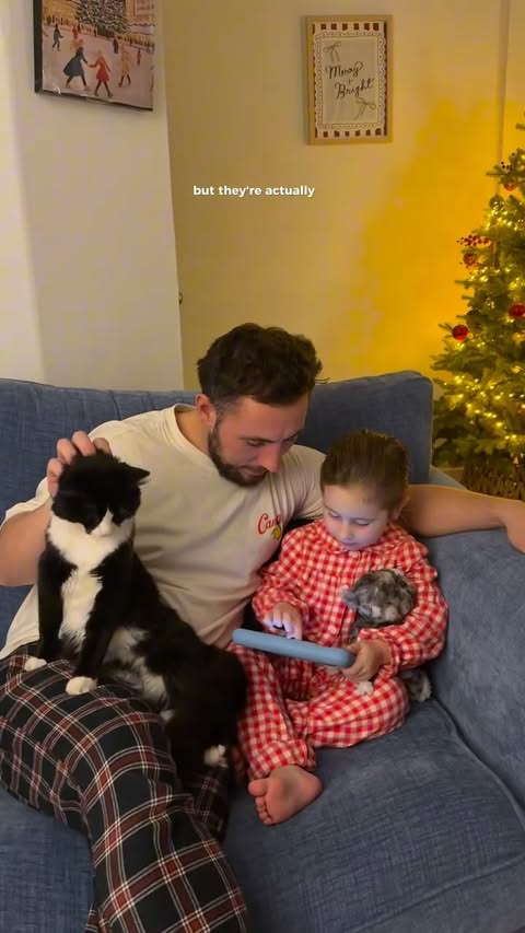 Instagram post by @fionasbishop for Readingeggs. Caption reads: [...] screentime and family fun with @readingeggs....