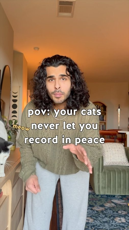 Instagram post by @rayyanshaikhh for Smalls. Caption reads: [...] household until the cats have their....