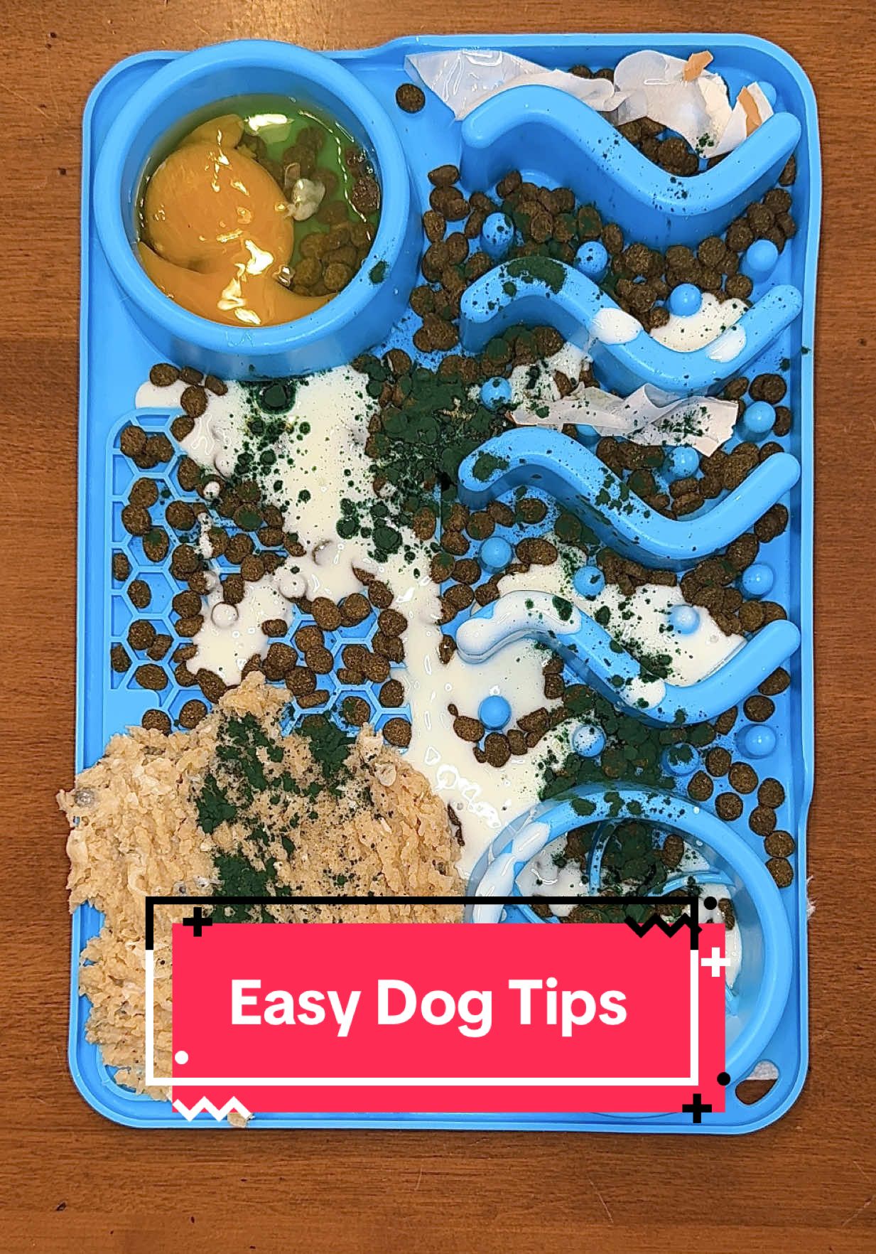 TikTok post by @kaylakowalskinutrition for Oma's Pride. Caption reads: [...] #dogmom #dogfood @Oma’s Pride....