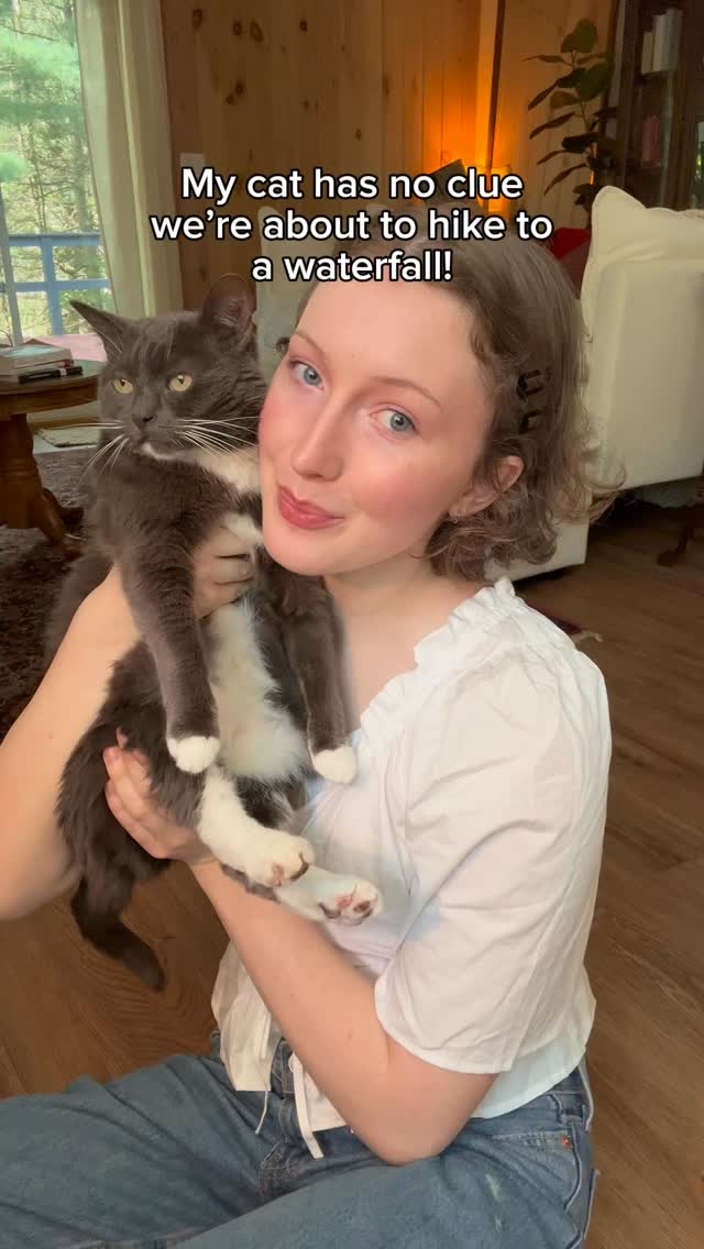 Instagram post by @lucilletherescuecat for Away. Caption reads: #AwayPartner Come along with us on a hike to a....