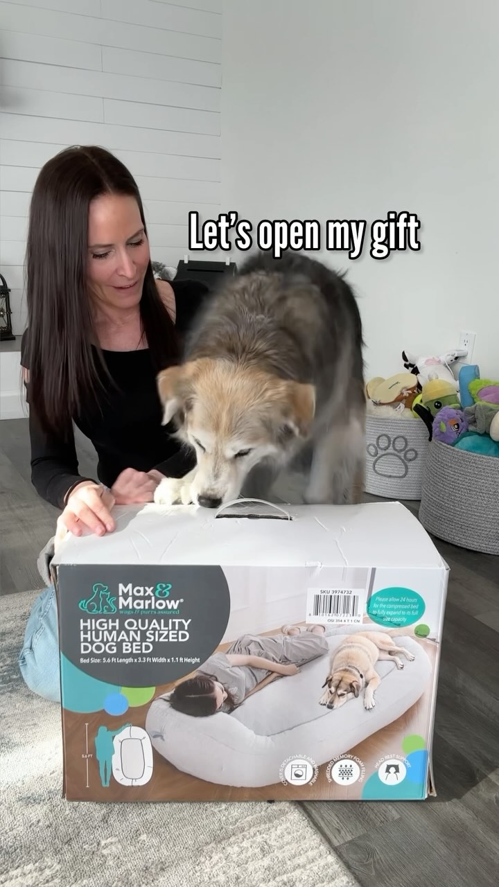 Instagram post by @halfhuskybros for Petco. Caption reads: #ad Do not disturb. 😴 We’re busy snuggling in our....