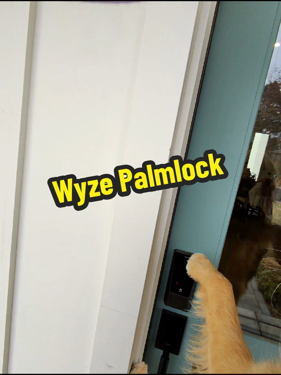 TikTok post by @theghousefam for Wyze. Caption reads: Replying to @stevebrewer53 Lets see! #wyzepalmlock....