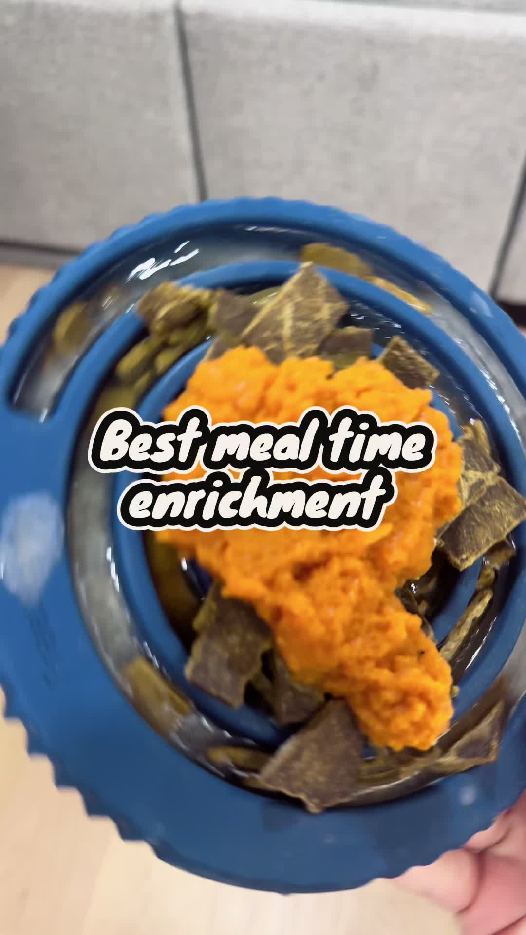 TikTok post by @leo_the_munchkinberne for Freezbone. Caption reads: @Freezbone is still our favorite meal time [...].