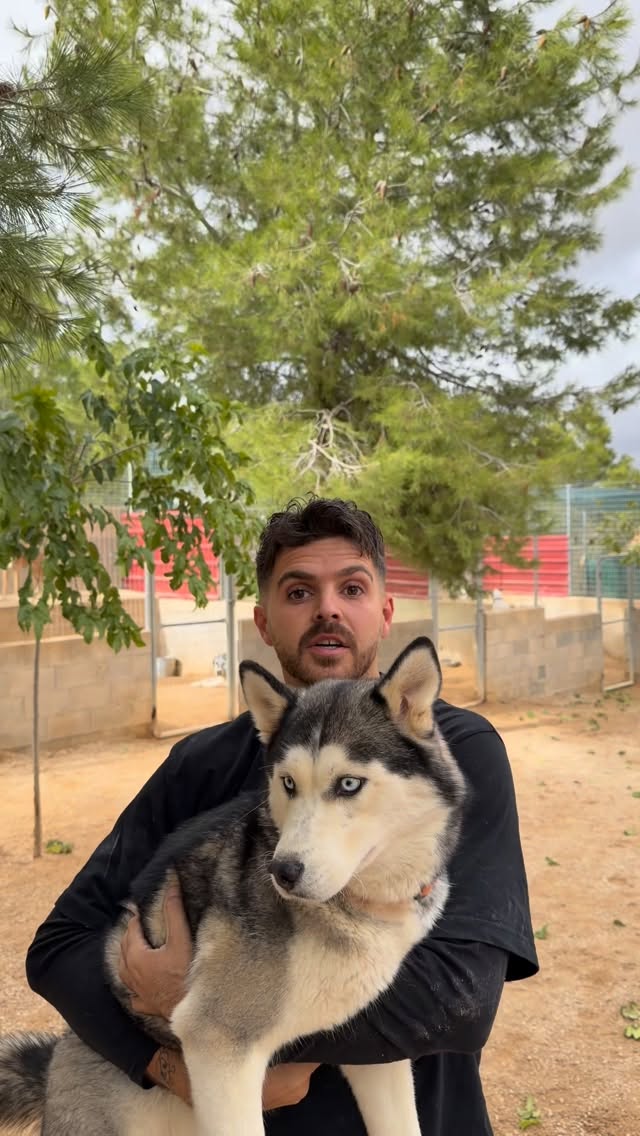 Instagram post by @ecojuanmanuel for Tractive. Caption reads: [...] descuento: ECOJUANMANUEL
@tractive.