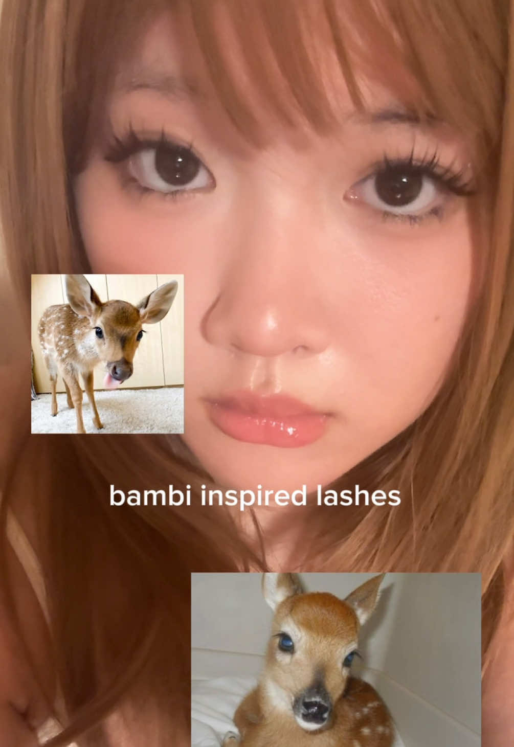 TikTok post by @elainesarchive for Fowendia Lashes. Caption reads: [...] a doe eyed look! lashes are from @Fowendia....