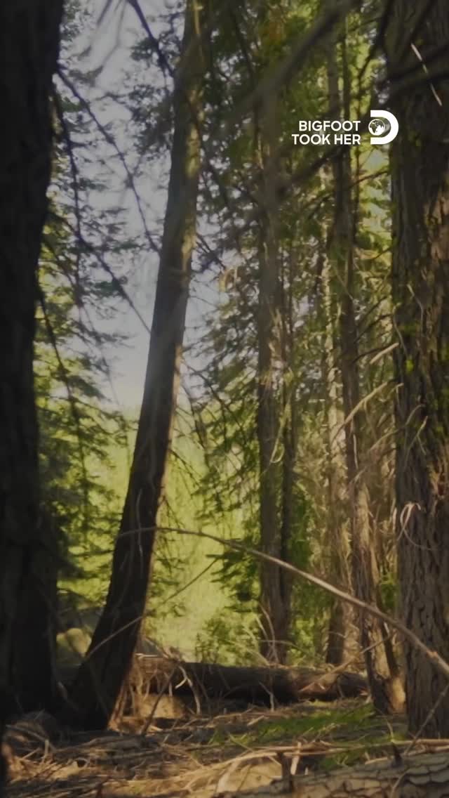 Instagram post by @jessica_chobot for Discovery. Caption reads: In 1987, Theresa Ann Bier vanished deep into Ghost....