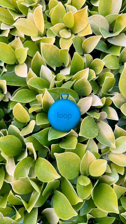 Instagram post by @carswithkaran for Loop Earplugs. Caption reads: [...] where i am you can get yours from....